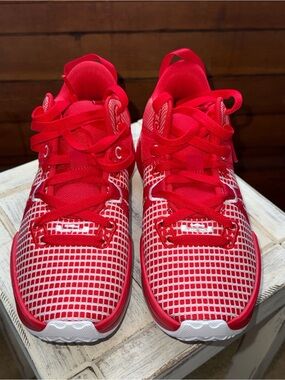 Brand New LeBron Witness VII TB basketball shoes